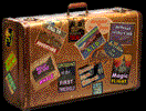 Photo valise
